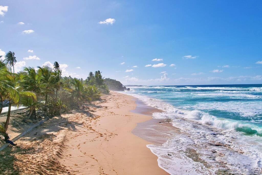 Family & Friends - Beach, Bbq, Private Pool & Pet Vega Baja Exterior photo